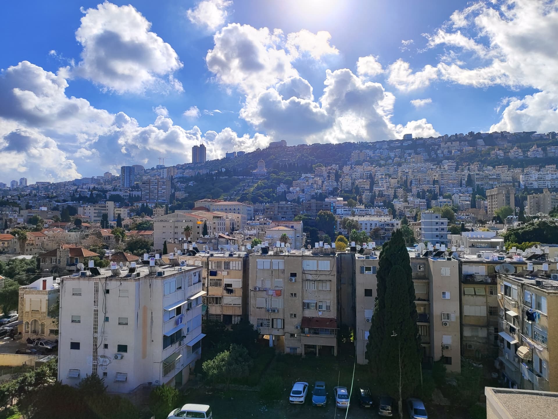 נוף חיפה ומדרונות הכרמל